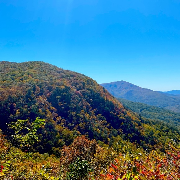 Meet your Posher - Picture 1 of 1